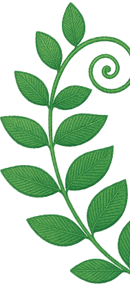 proVITA